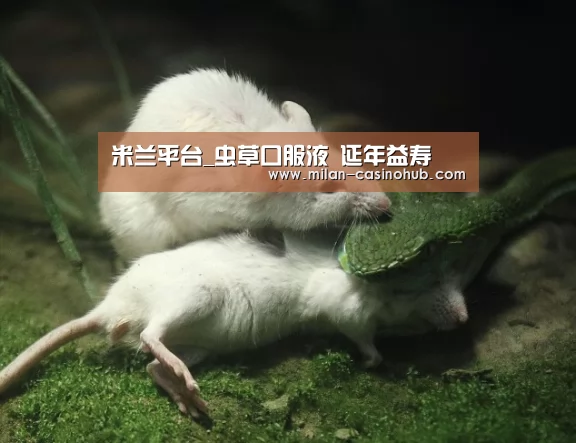 米兰平台_虫草口服液 延年益寿(图1) 米兰平台