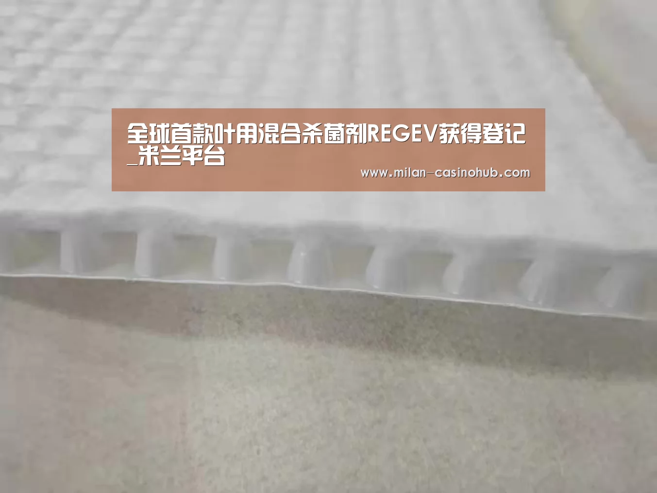 全球首款叶用混合杀菌剂REGEV获得登记_米兰平台(图3) 米兰导航