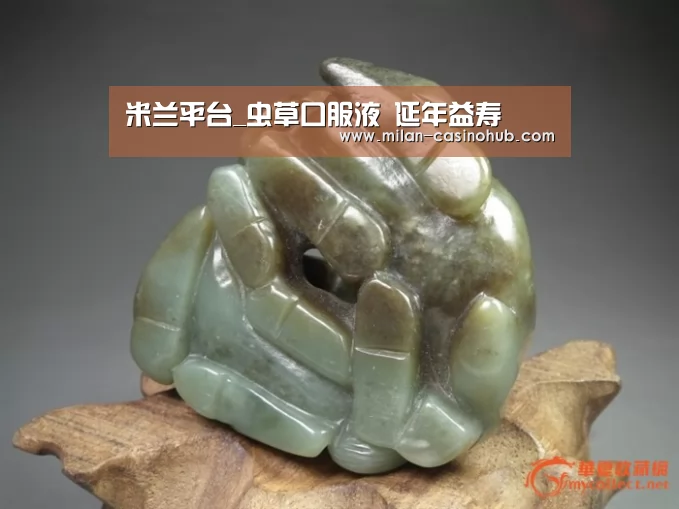 米兰平台_虫草口服液 延年益寿(图2) 米兰平台