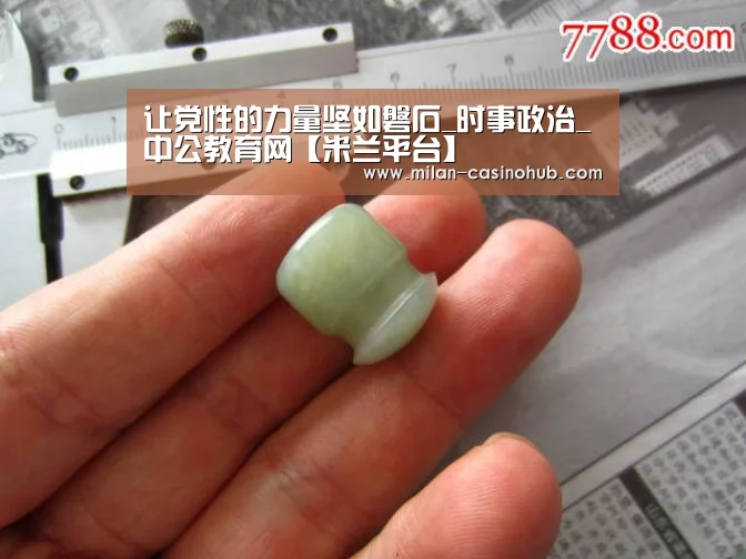 让党性的力量坚如磐石_时事政治_中公教育网【米兰平台】(图4) 米兰导航