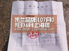 米兰品牌|(07月09日)6月上海燃气集团供应天然气6.5亿方同比增9.3%(图2) 米兰品牌