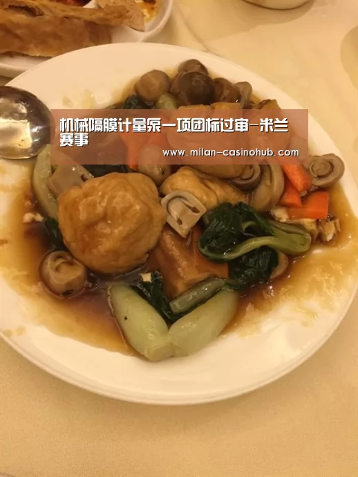机械隔膜计量泵一项团标过审-米兰赛事(图1) 米兰品牌