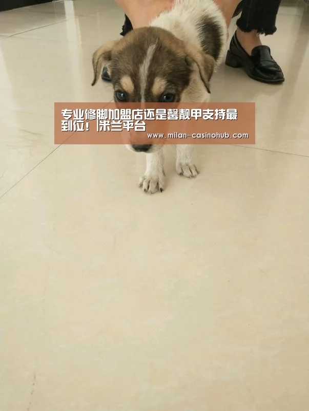 专业修脚加盟店还是馨靓甲支持最到位!|米兰平台(图2) 米兰平台